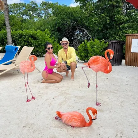 Punta Cana Bavaro Suites Pool Beach Ducassi-Sol Caribe